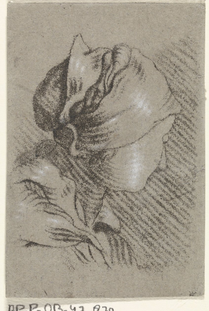 kvinnebyste av Johannes Janson (possibly)