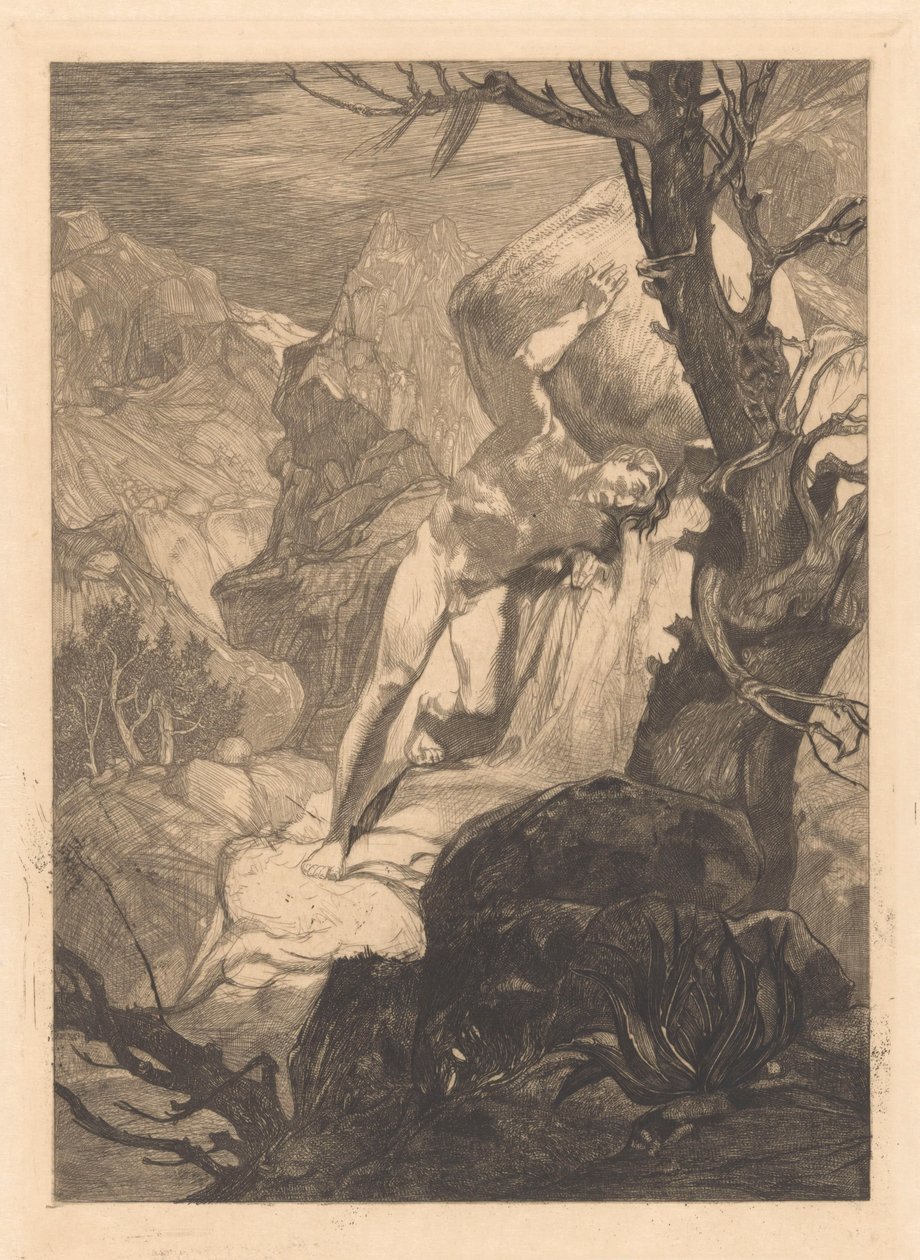 Såret i steinete landskap av Johannes Josephus Aarts