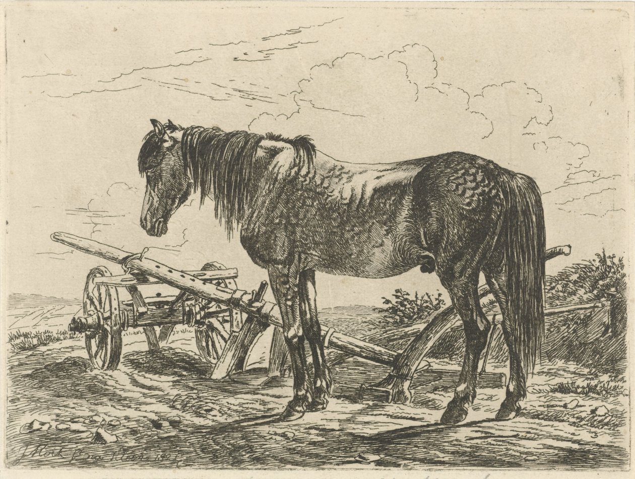 Hest i en plog av Johannes Mock