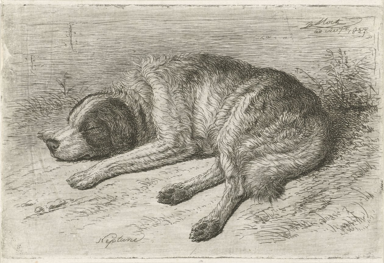 Sovende hund til venstre Neptun (tittel på objekt) av Johannes Mock