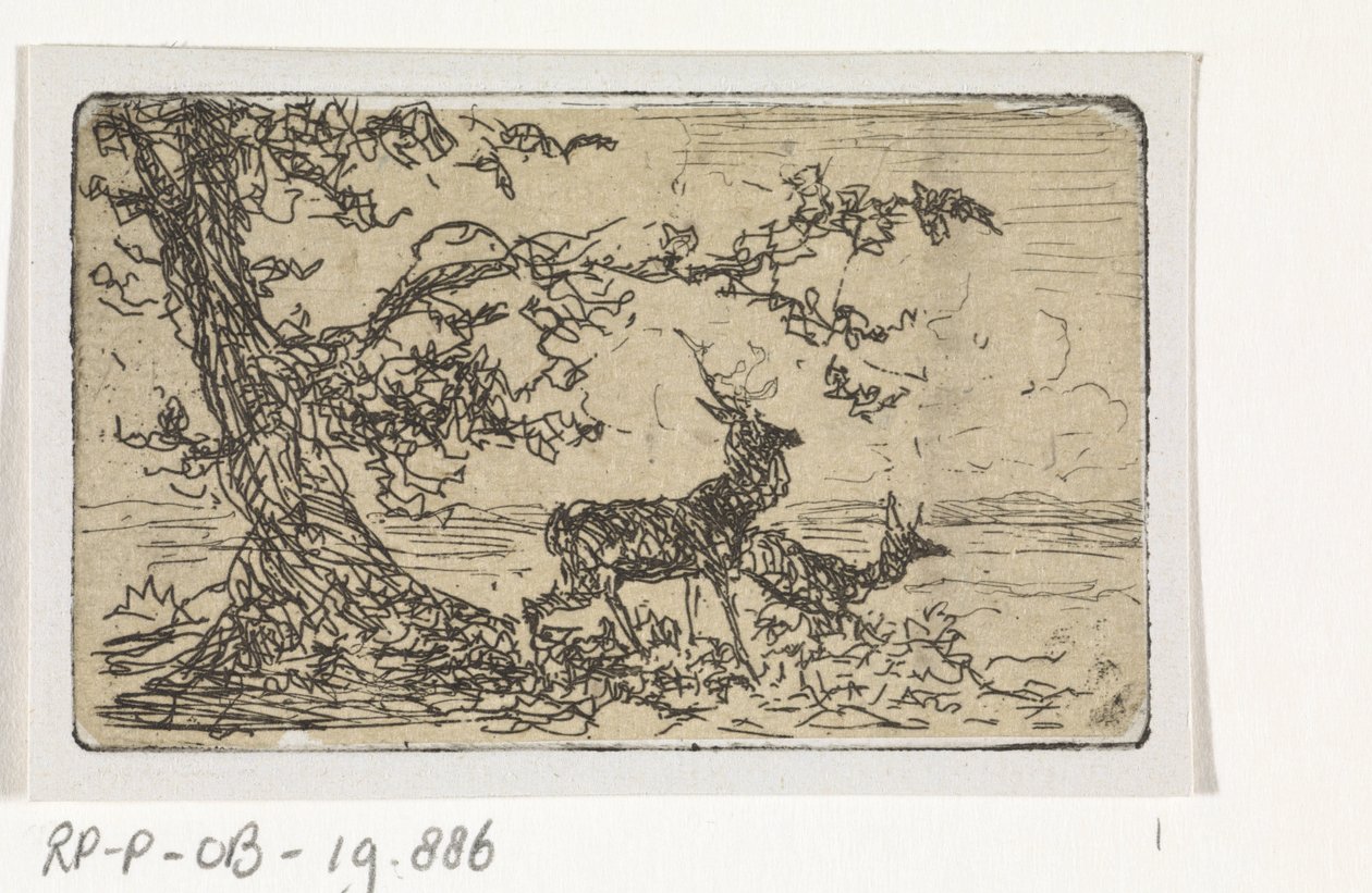 To rådyr under et tre av Johannes Tavenraat
