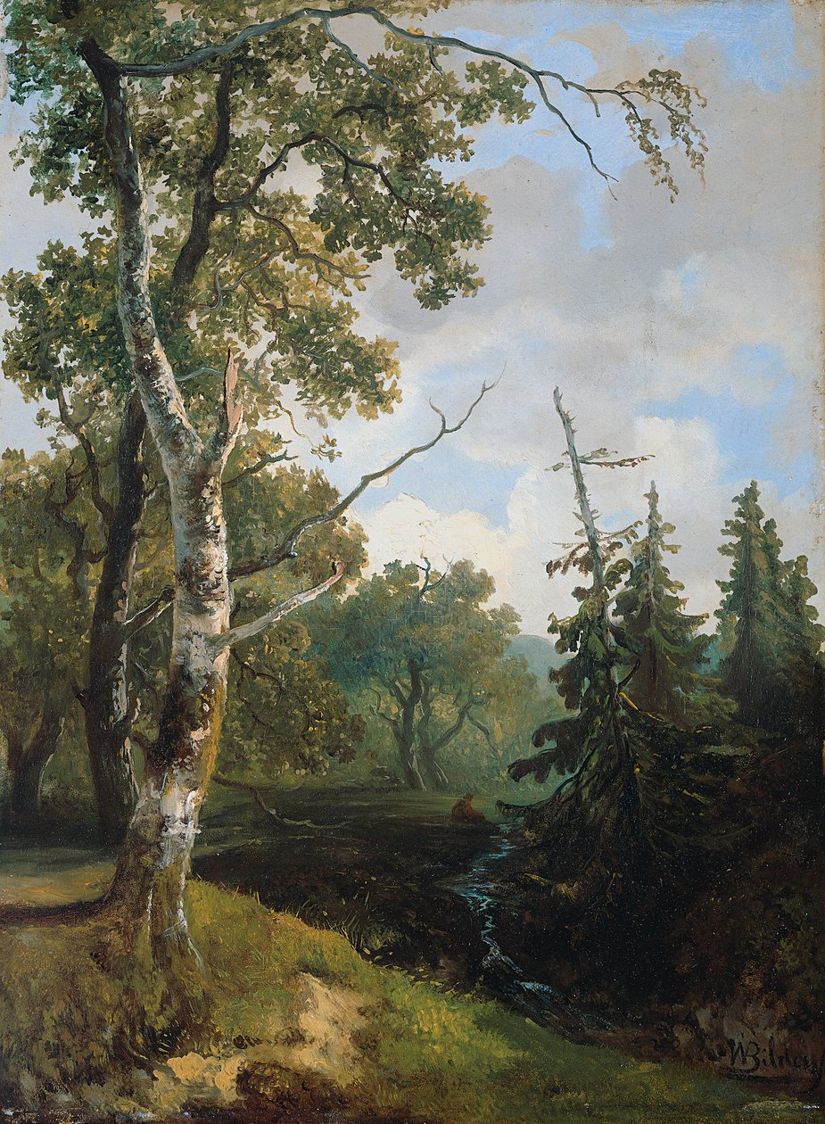  av Johannes Warnardus Bilders