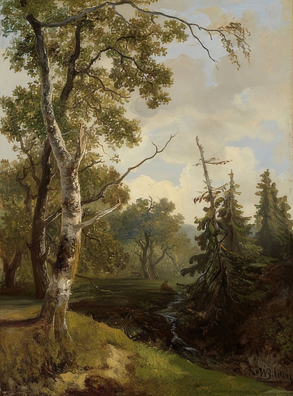 Waldstück bei Wolfheze (skogsutsikt ved Wolfheze) av Johannes Warnardus Bilders