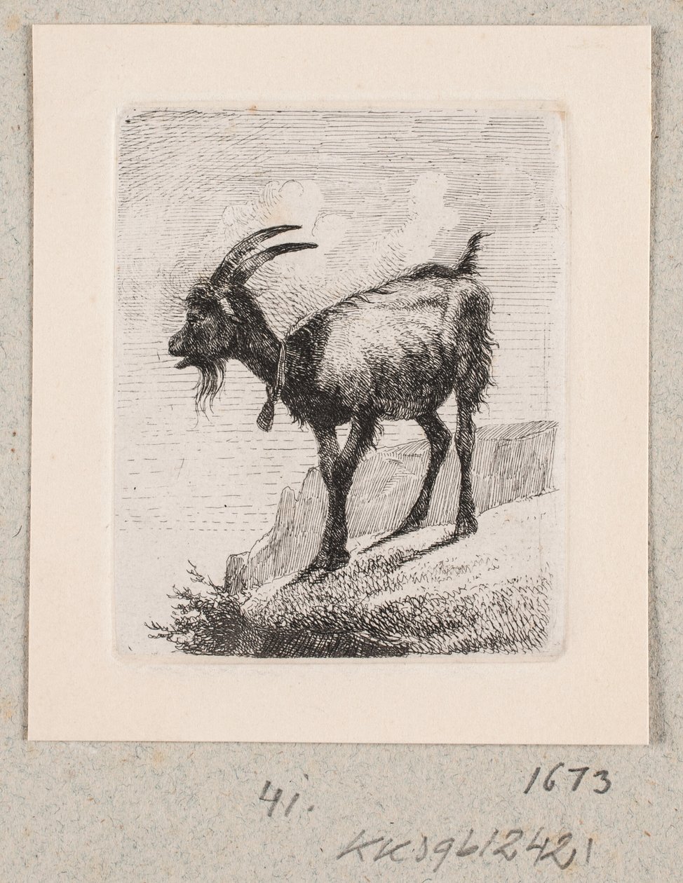 En geit med en bjelle av Johannes Wilhelm Zillen