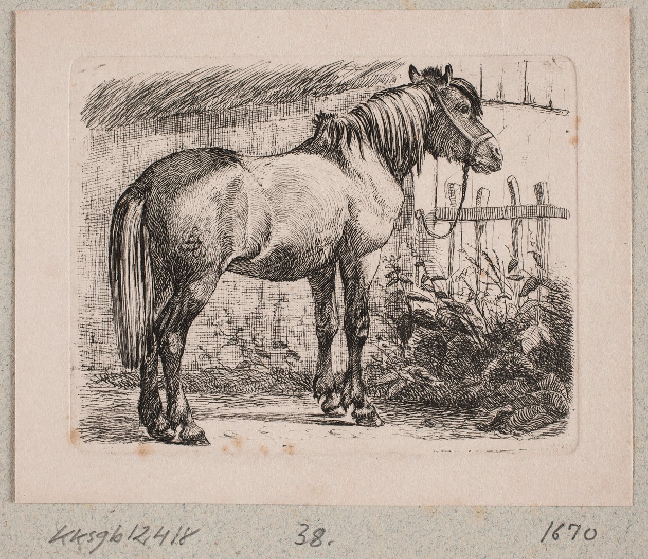 En hest med grime av Johannes Wilhelm Zillen