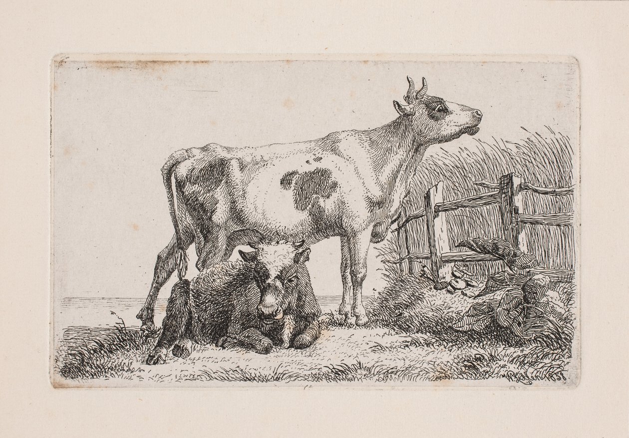 En hvilende og en stående ku av Johannes Wilhelm Zillen