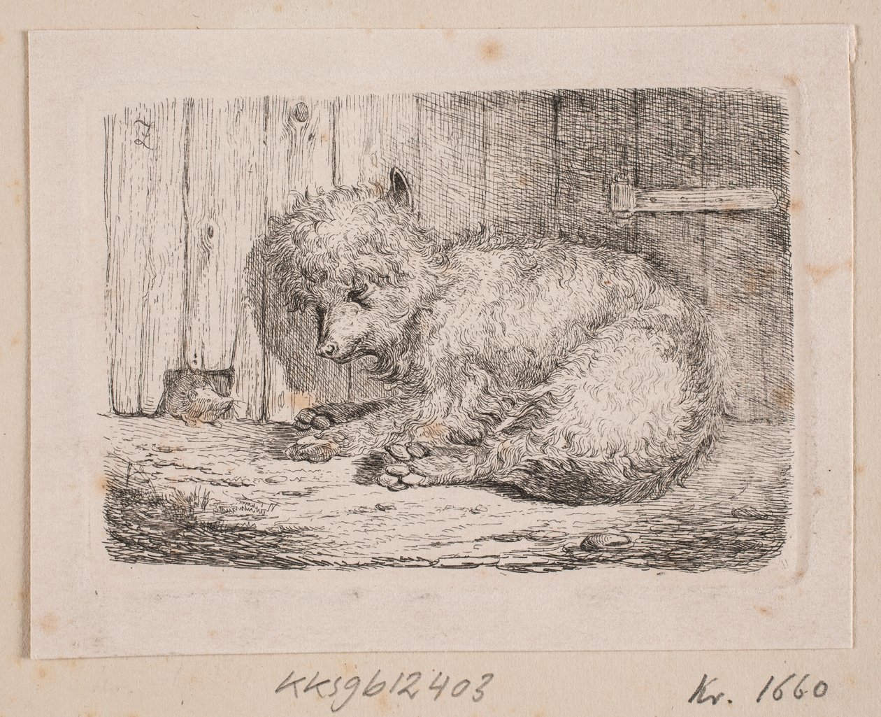 En langhåret hund av Johannes Wilhelm Zillen
