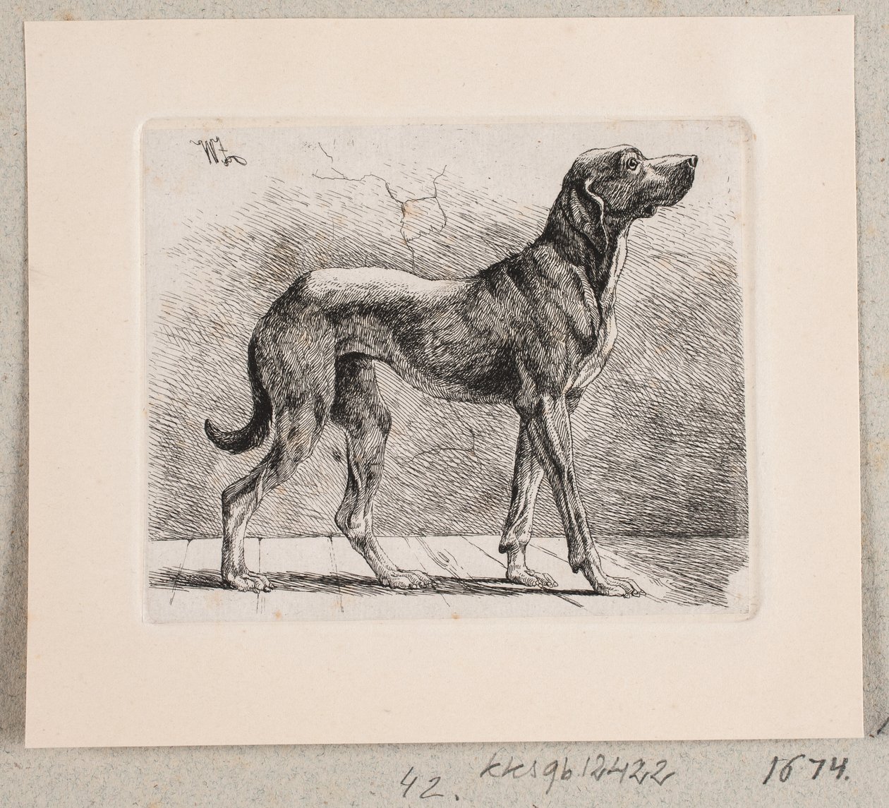 En stående hund av Johannes Wilhelm Zillen