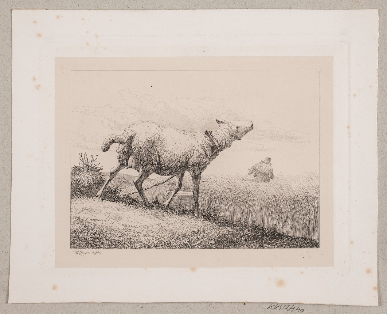 En blåsende sau av Johannes Wilhelm Zillen
