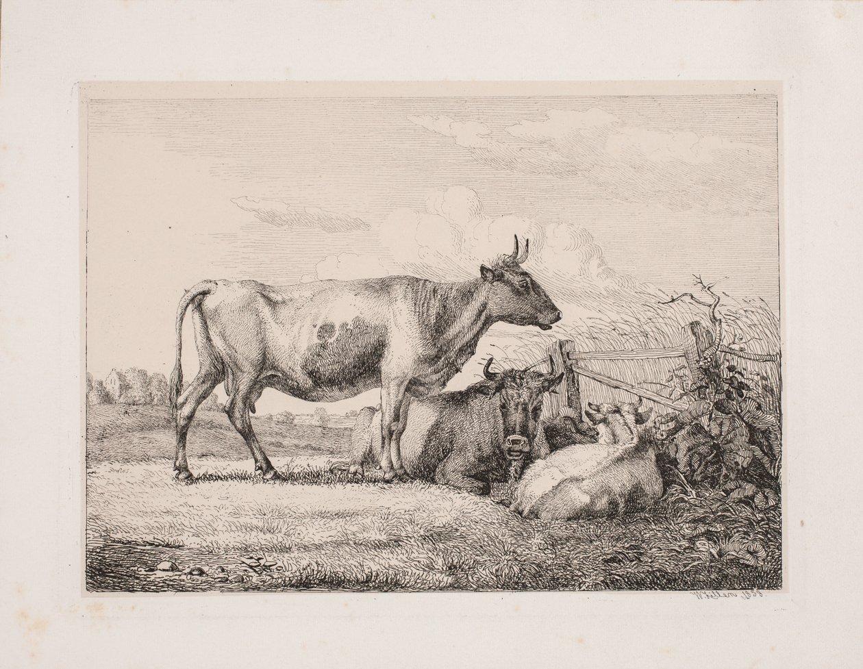 Kyr i åkeren av Johannes Wilhelm Zillen