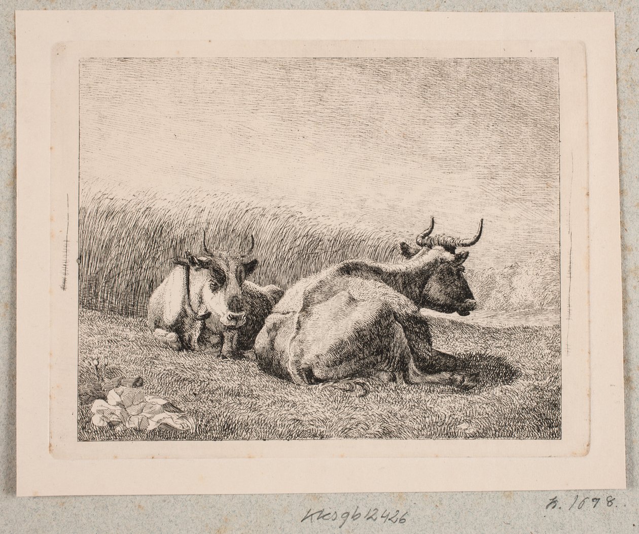 To hvilende kyr av Johannes Wilhelm Zillen