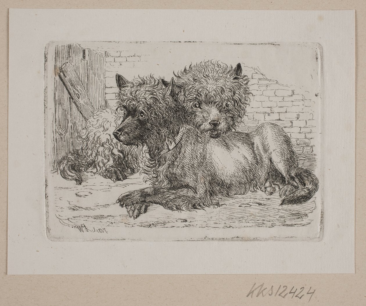 To liggende hunder av Johannes Wilhelm Zillen