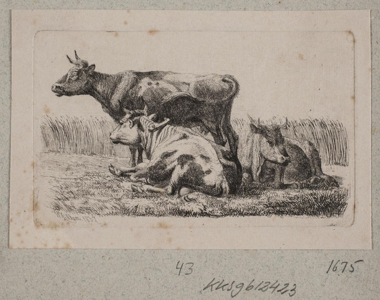 Tre kyr av Johannes Wilhelm Zillen