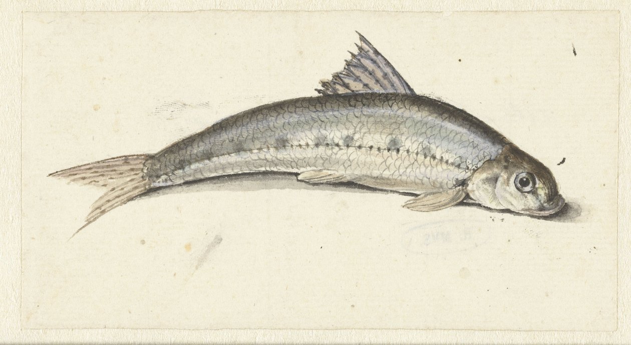 gondol av Johannes le Francq van Berkhey