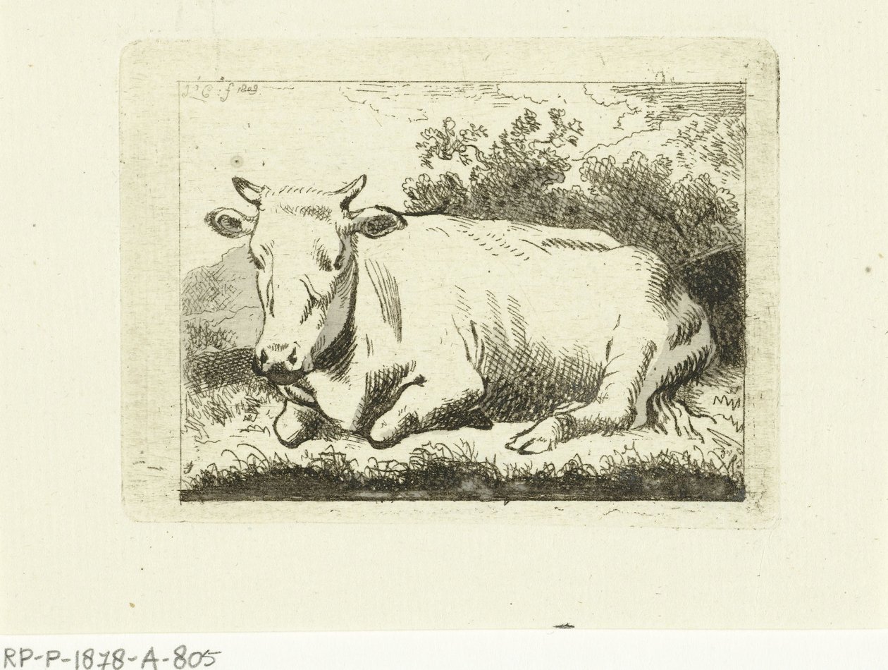 Liggende ku av Johannes van Cuylenburgh