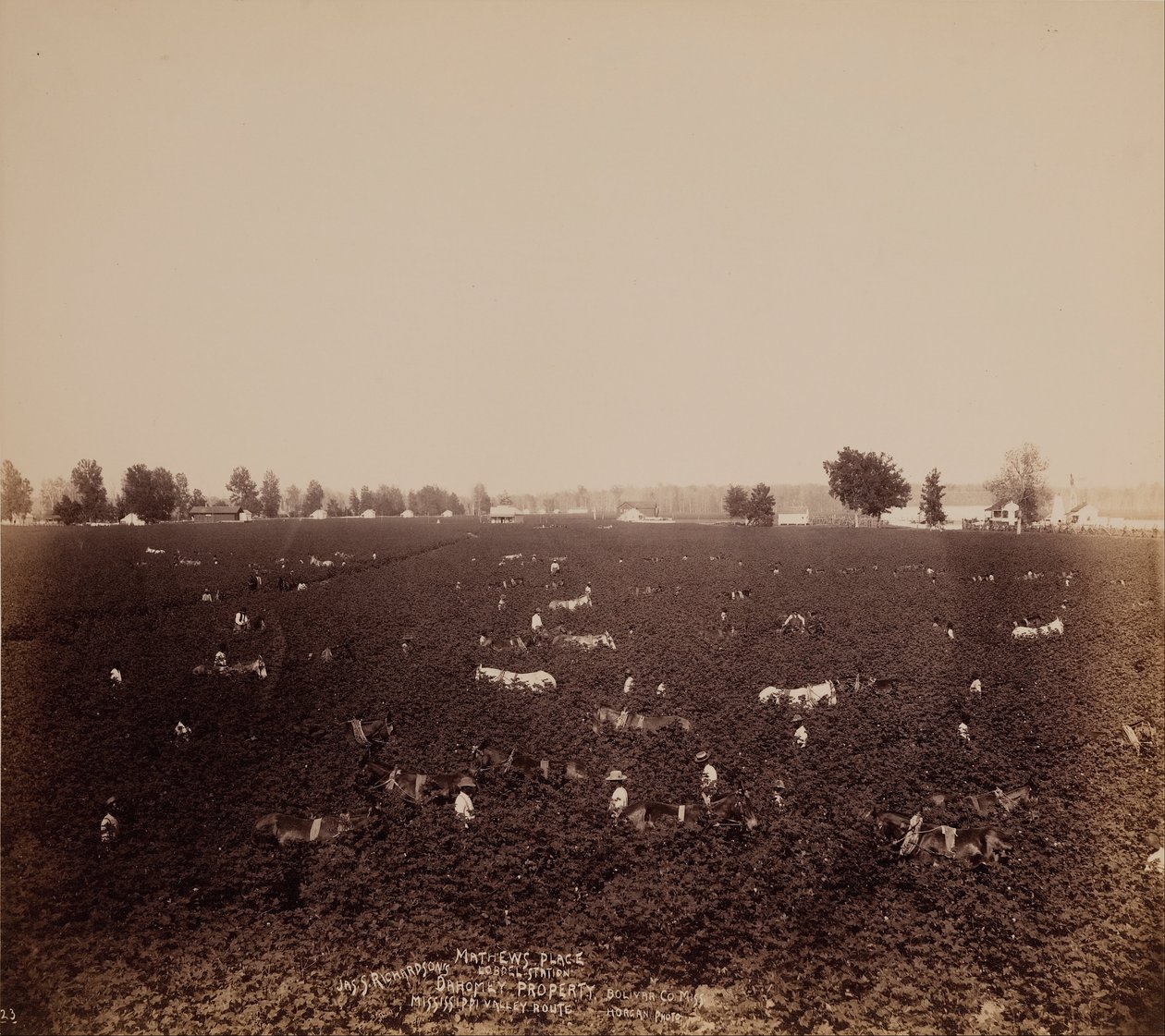 Mathews Place, Lobdell Station, Jass. Richardsons Property, Bolivar County., Miss., Mississippi Valle ... av John Horgan Jr.