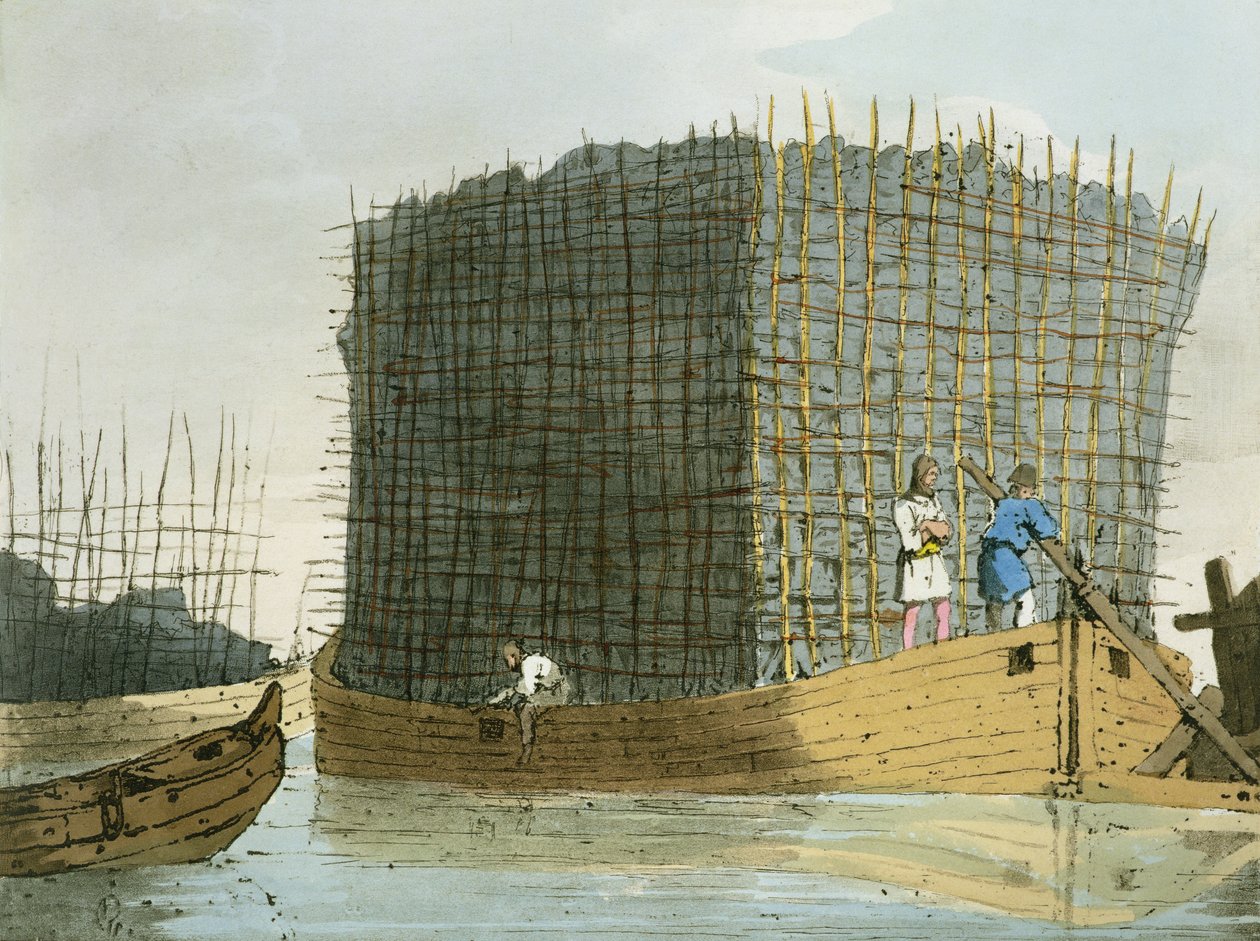 Kullbark, etset av kunstneren, utgitt 1803 av John Augustus Atkinson