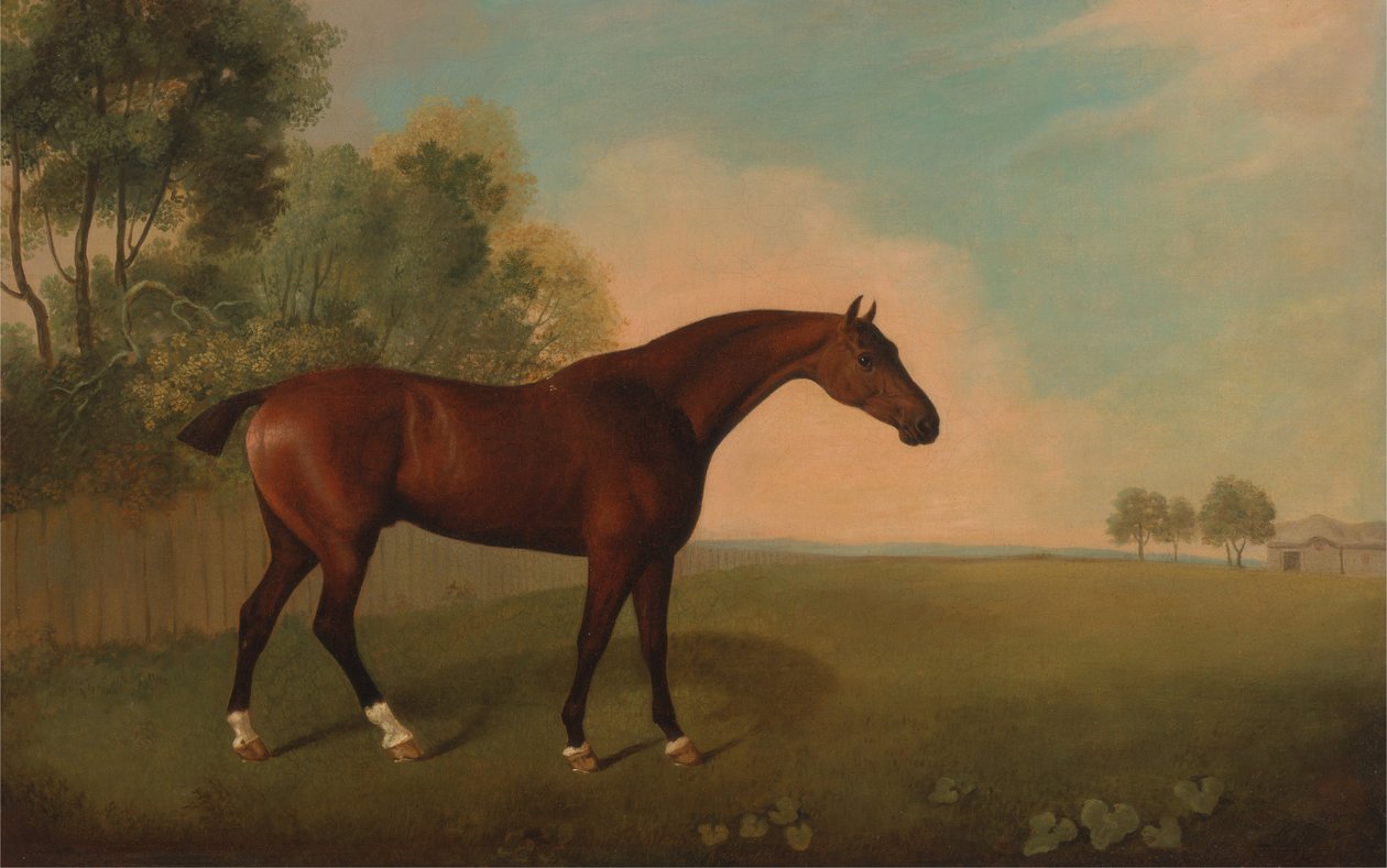 En Bay Horse in a Field av John Boultbee
