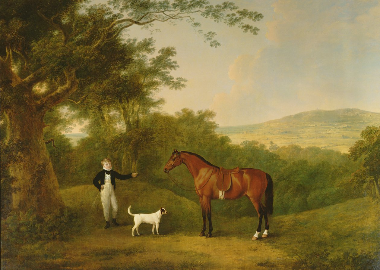 Portrett av en gutt, en terrier og en kastanjeponni av John Boultbee