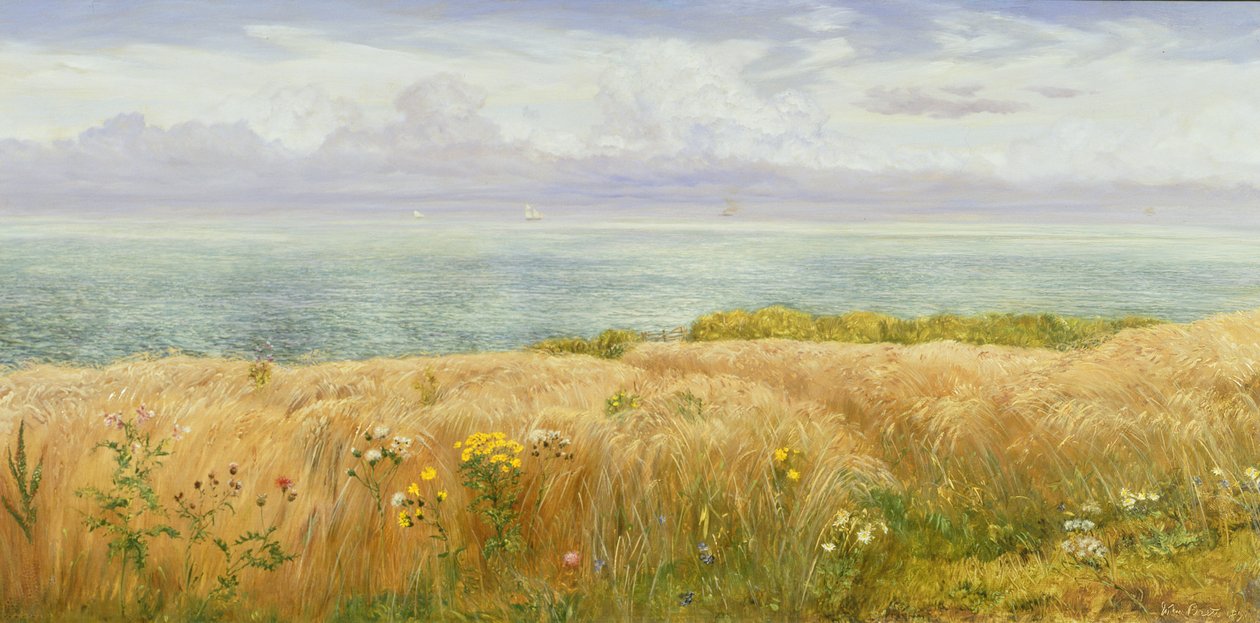 Sommer på klippene, 1891 av John Brett