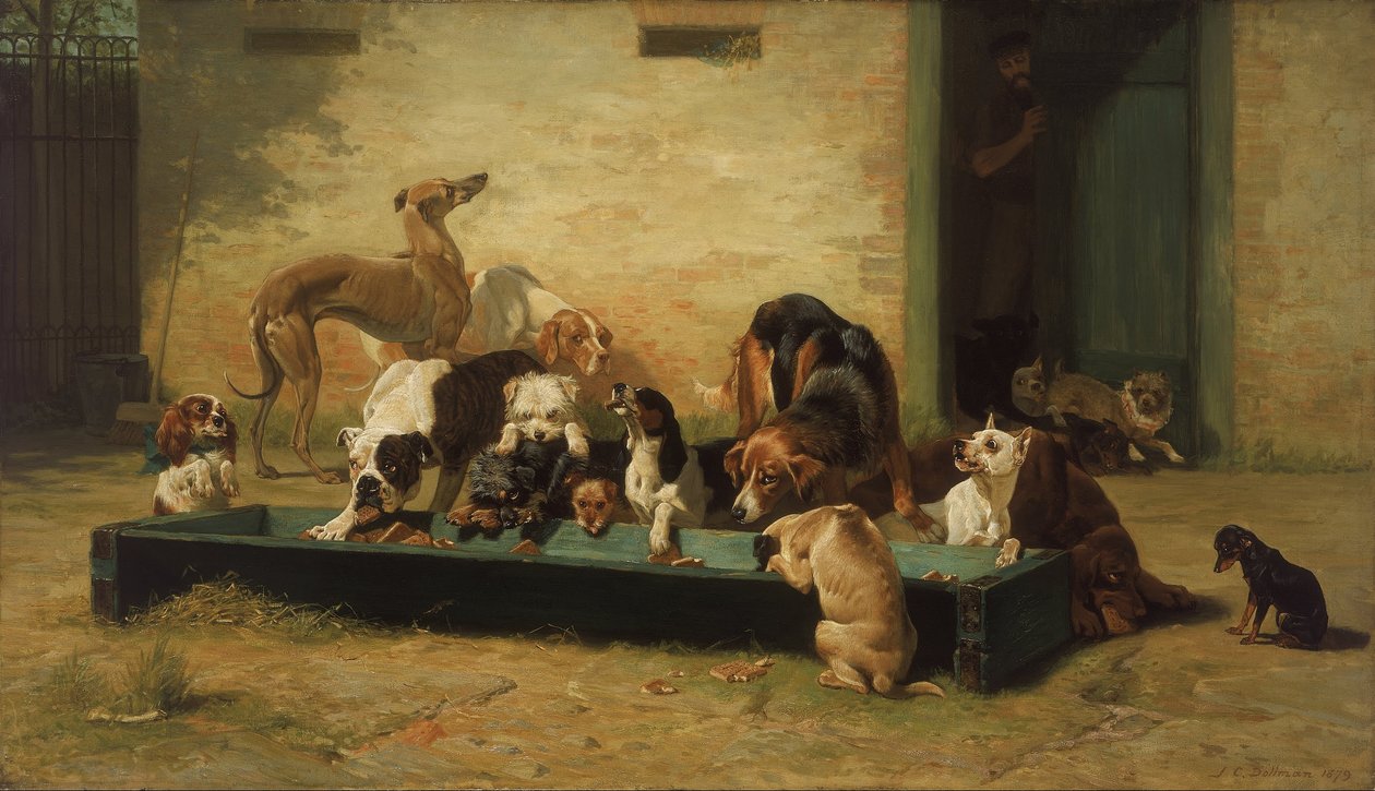 Tabell dHote at a Dogs Home av John Charles Dollman