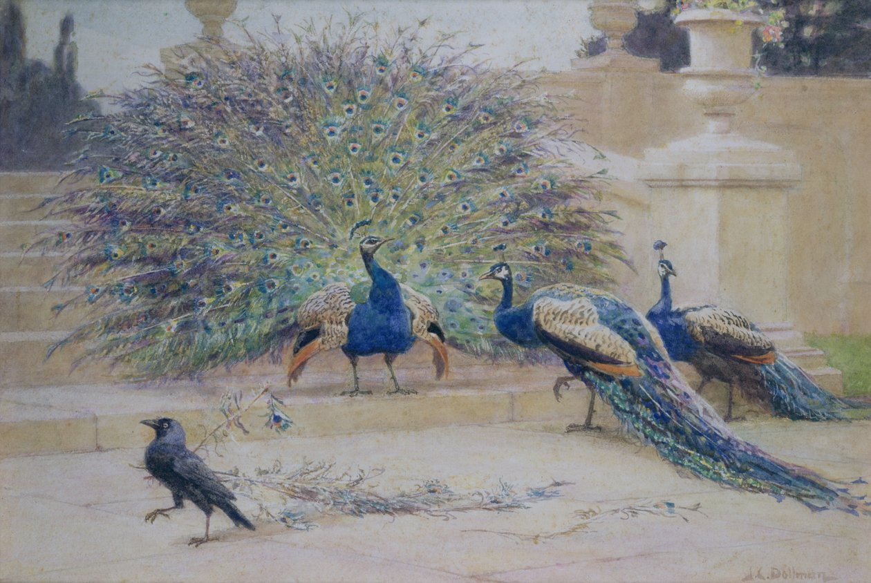 Den lånte plumen av John Charles Dollman