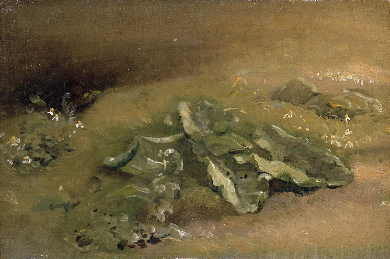 En studie av burdock av John Constable