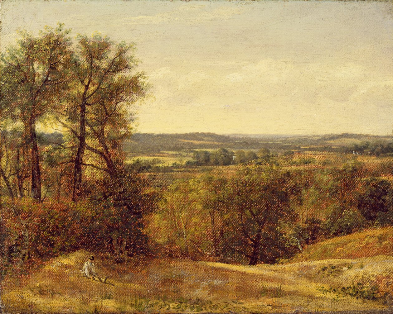 Dedham Vale, ca. 1802 av John Constable