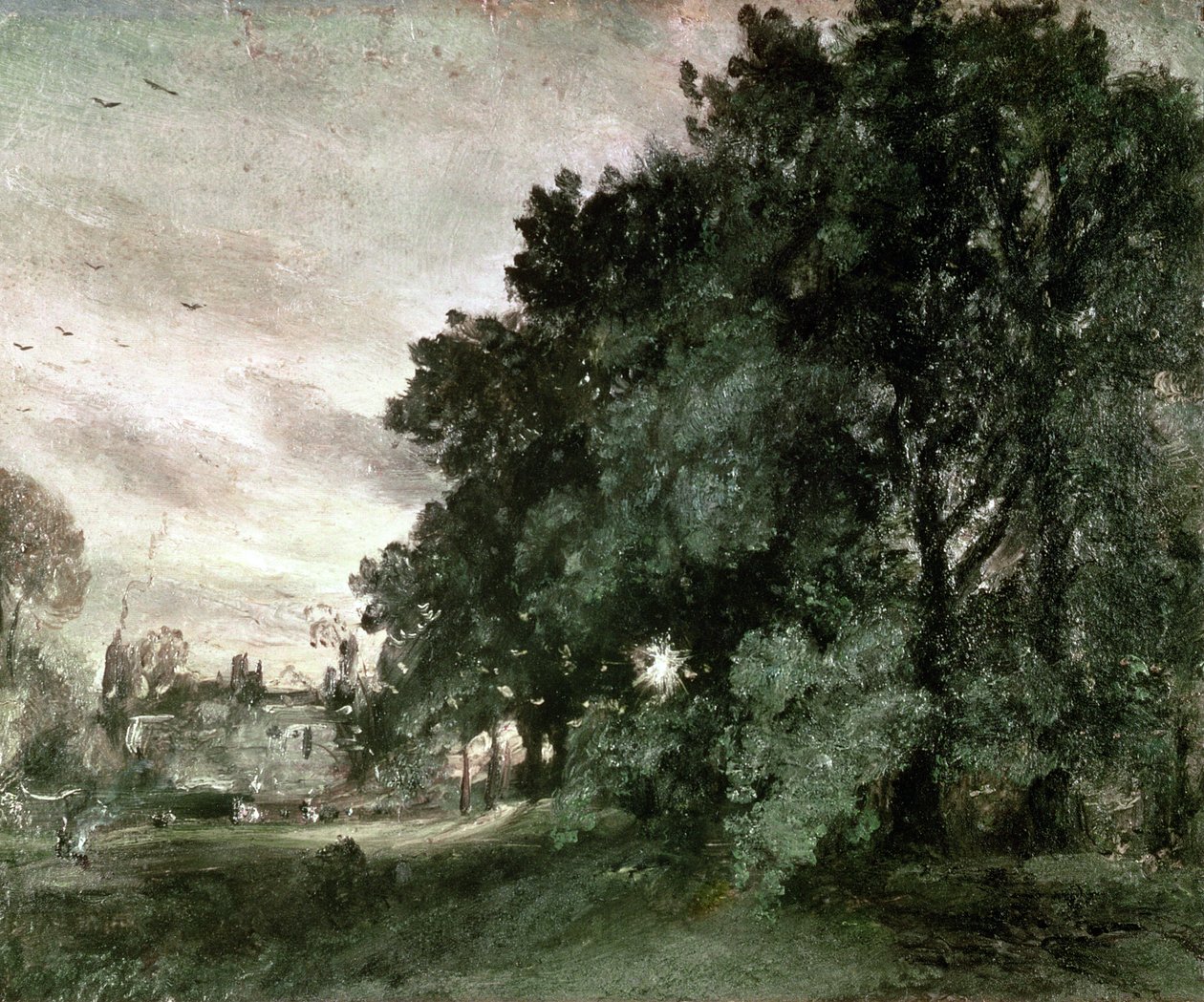 Studie av trær (olje på papir) av John Constable