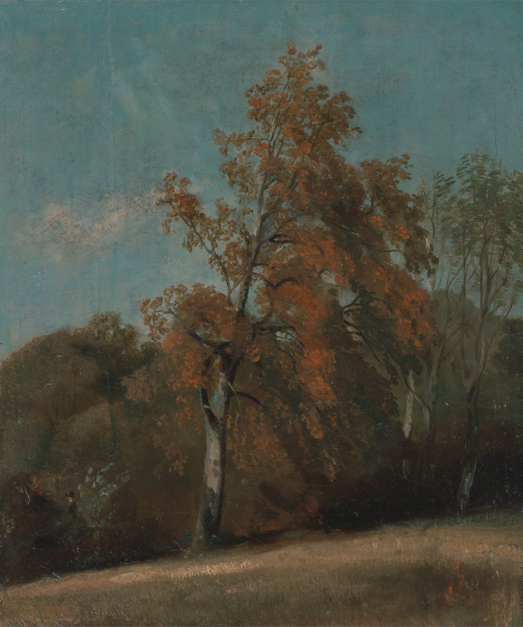 Studie av et asketre av John Constable