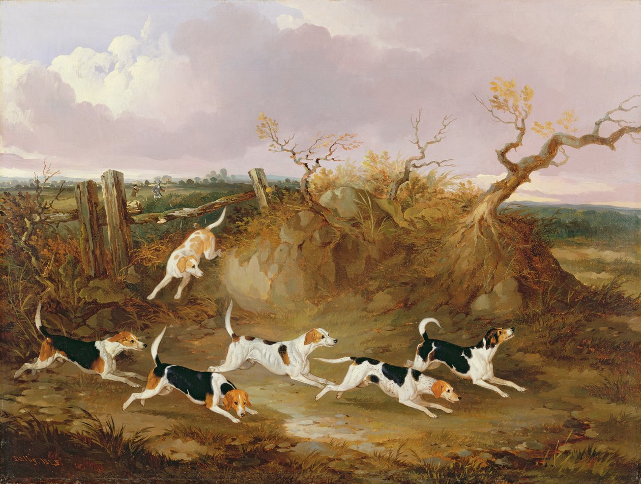Beagles in Full Cry, 1845 av John Dalby
