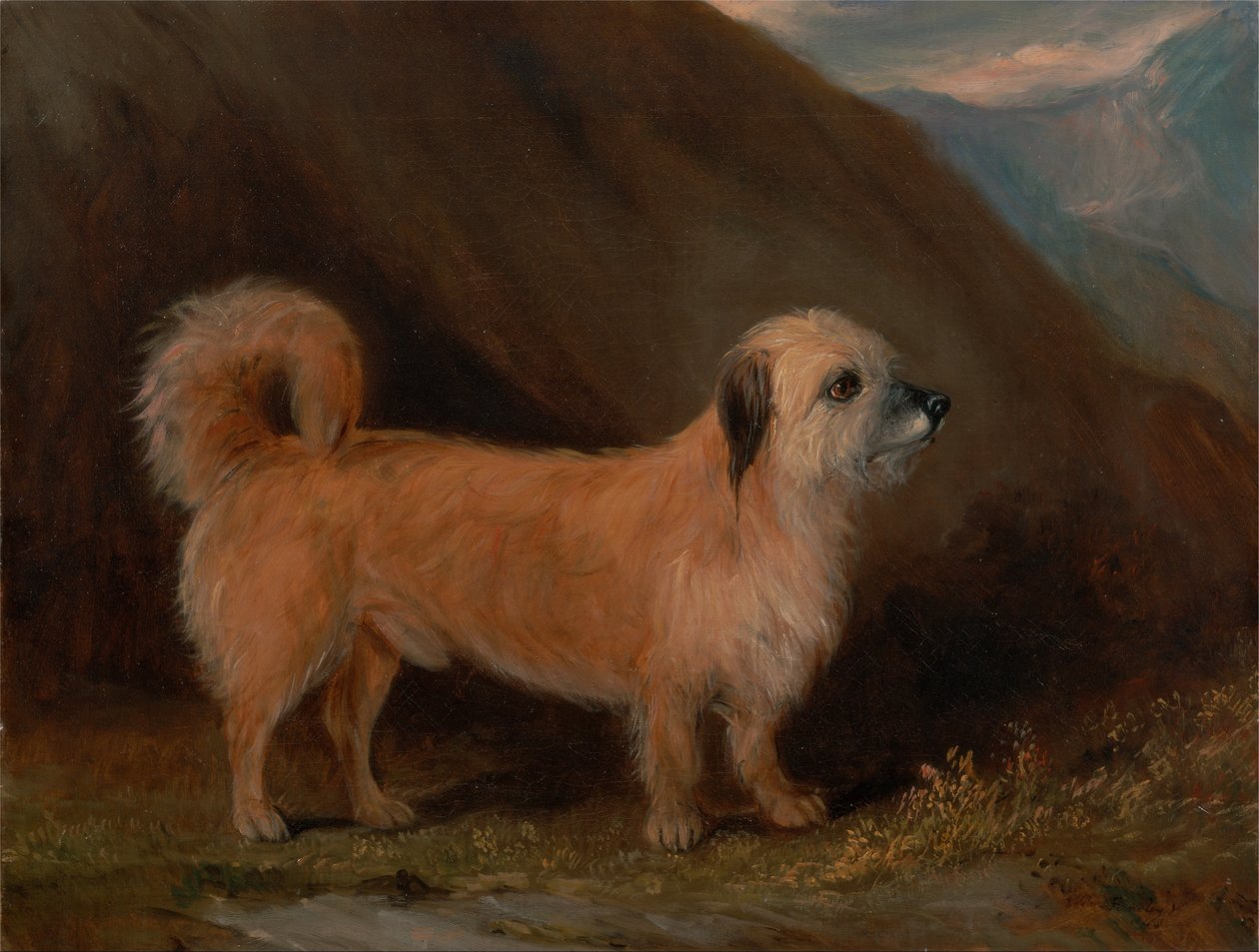 En Dandie Dinmont Terrier av John E. Ferneley