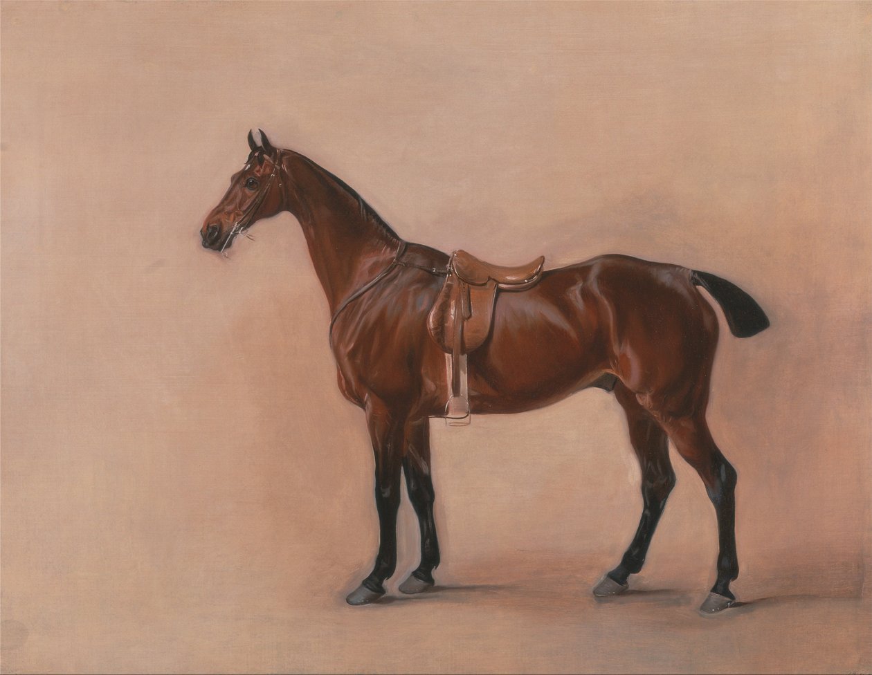 Studie av en Saddled Bay Hunter av John E. Ferneley