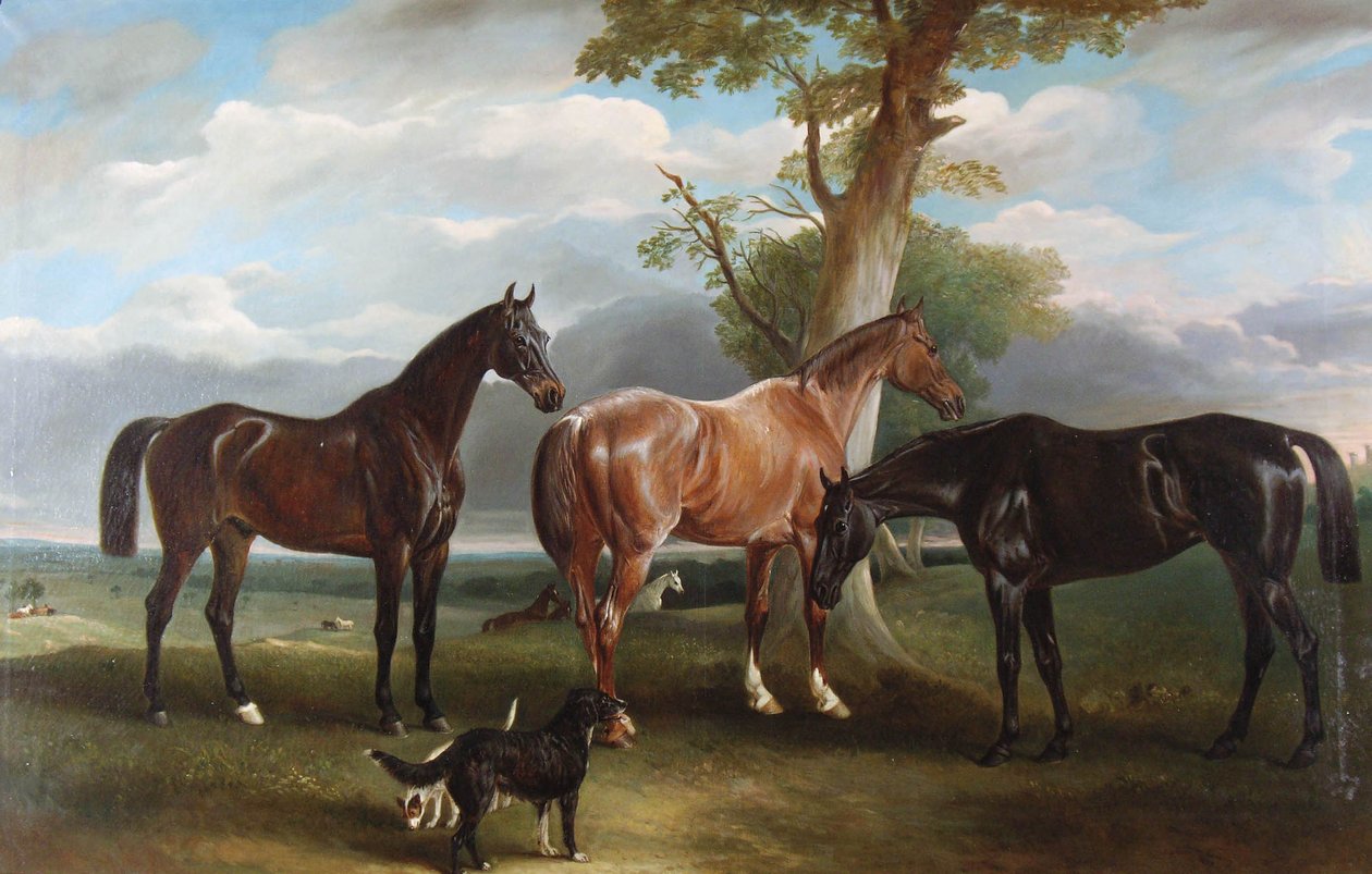 Den sjette hertugens favorittjegere og hunder, 1857 av John E. Ferneley