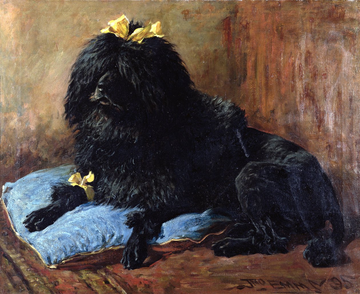 En svart standard puddel på en blå pute, 1895 av John Emms