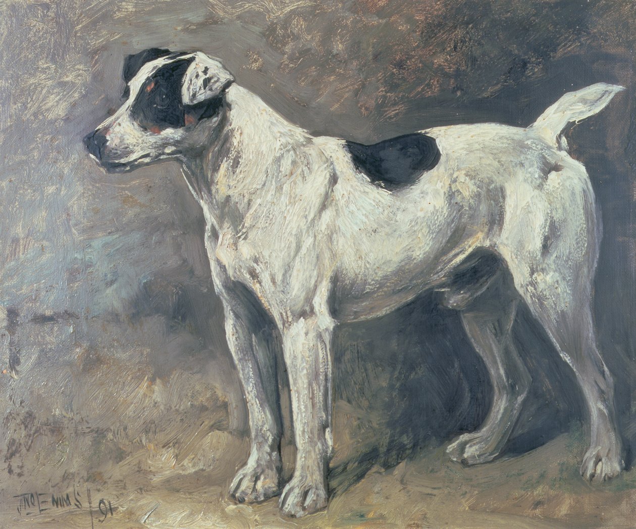 En Jack Russell, 1891 av John Emms