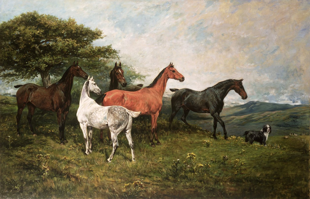 Hopper og føll med fårehund av John Emms