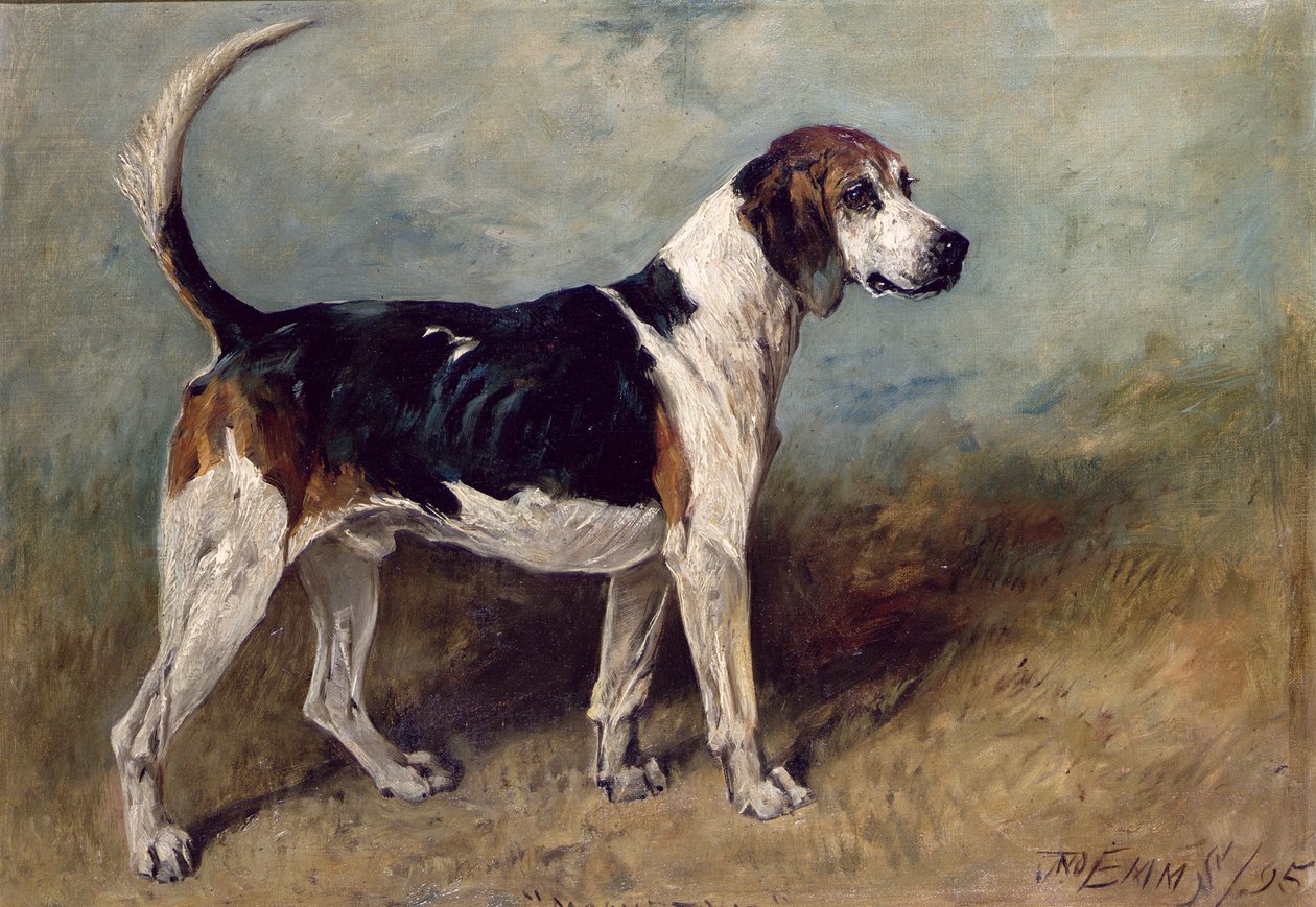 Månestein, 1895 av John Emms