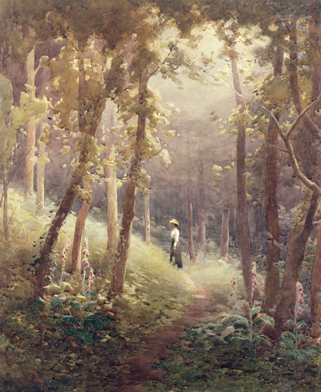 En Woodland Glade av John Farquharson