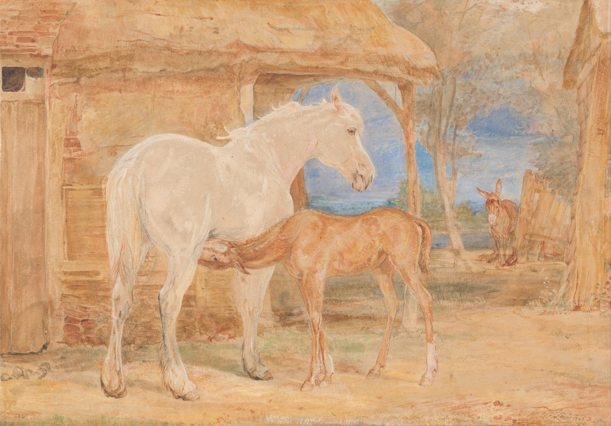 Grå hoppe og et kastanje føll av John Frederick Lewis