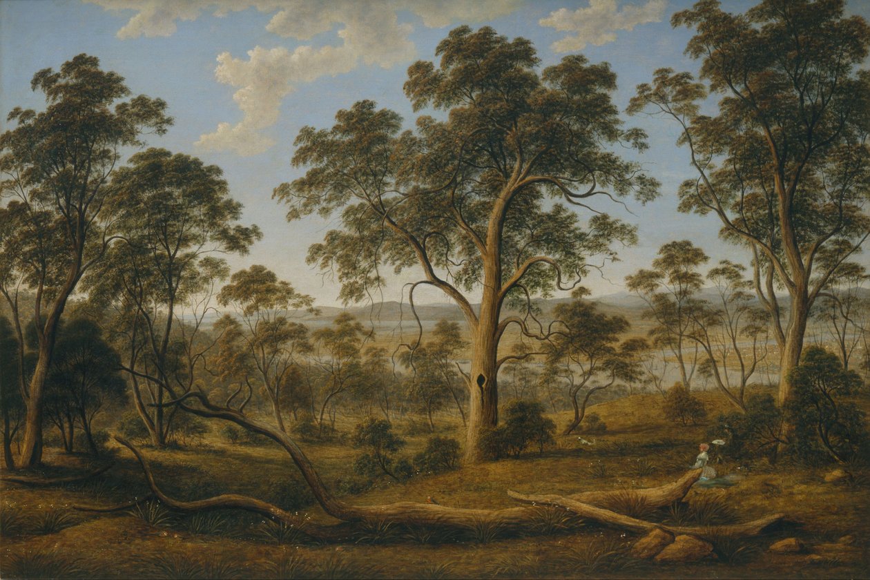 Launceston og elven Tamar av John Glover