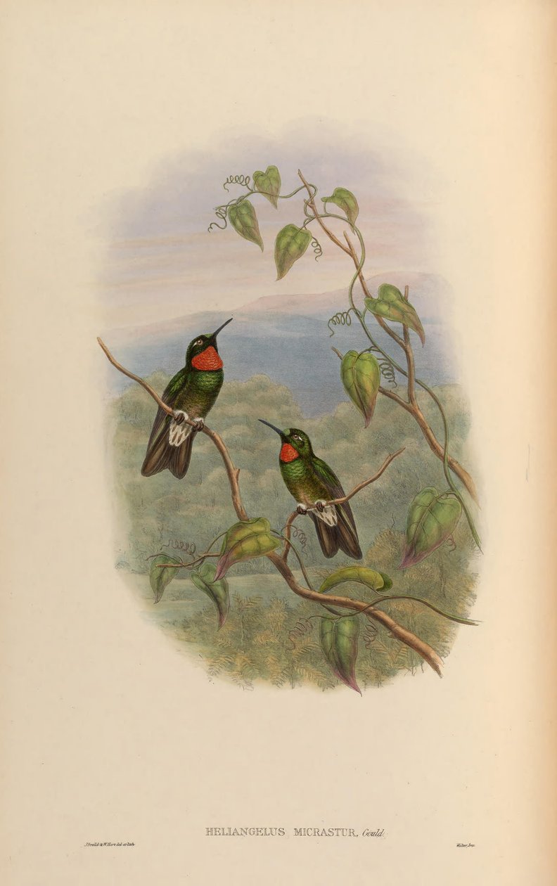 Plutselig når han kobler seg til Micra på veien = tvinger han Angel USM IC raster av John Gould