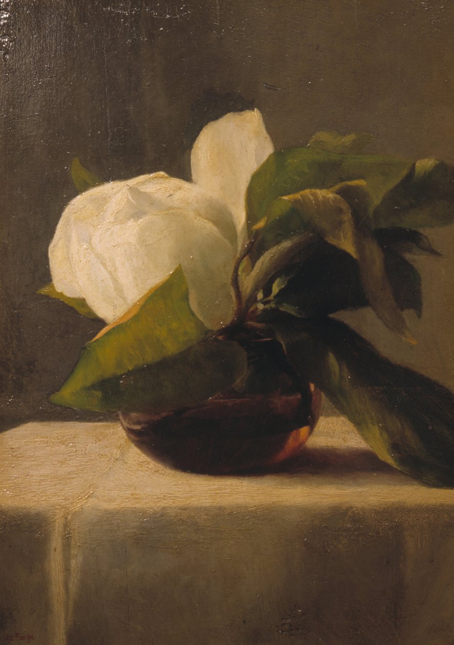 Magnolia av John La Farge or Lafarge