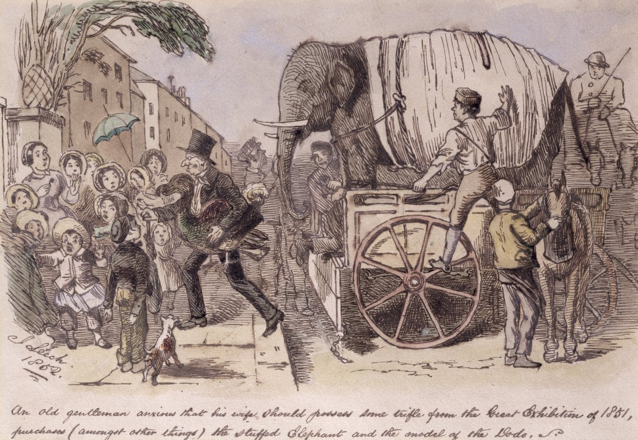 "En gammel herre som er ivrig etter at hans kone skulle ha noe bagatell fra den store utstillingen i 1851, kjøper (blant annet) den utstoppede elefanten og modellen av dodo", tegnet for Punch av John Leech