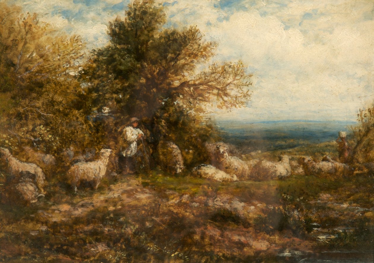 Sauer i hvile; Minding the Flock, ca. 1840-80 av John Linnell