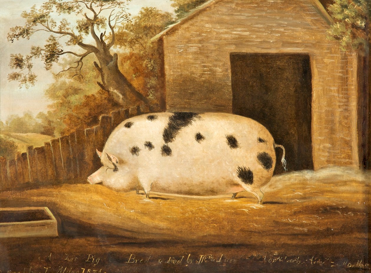 Gloucester Old Spot Pig, 1834 av John Miles of Northleach