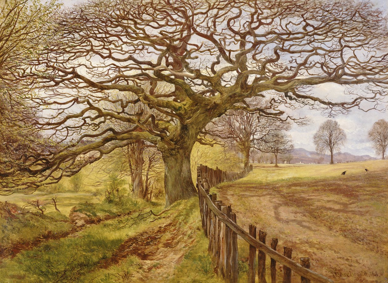 Treet, 1861 av John Milne Donald
