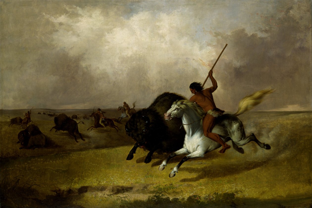 Buffalo Hunt på Southwestern Prairies av John Mix Stanley