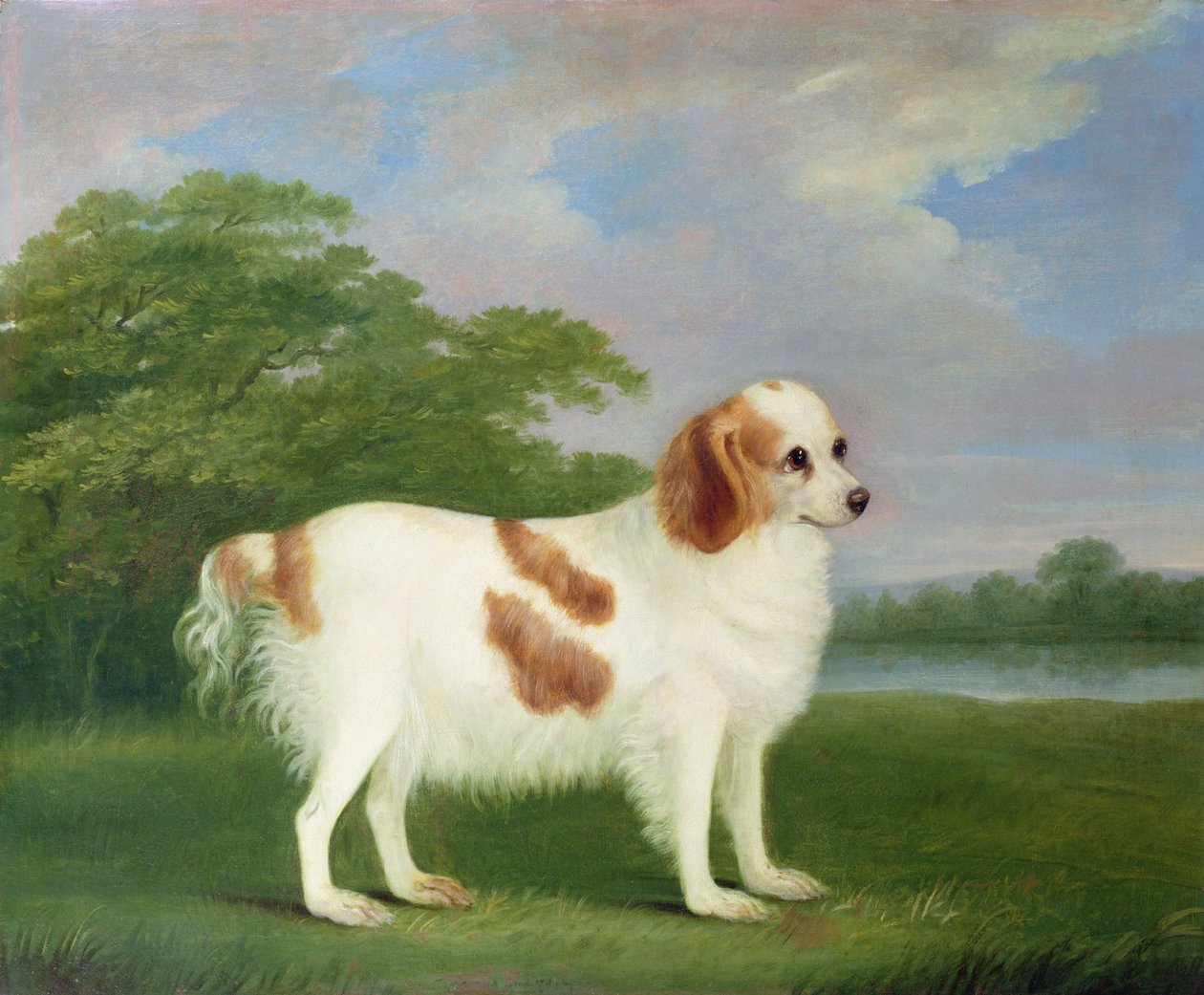 Spaniel i et landskap, 1789 av John Nott Sartorius