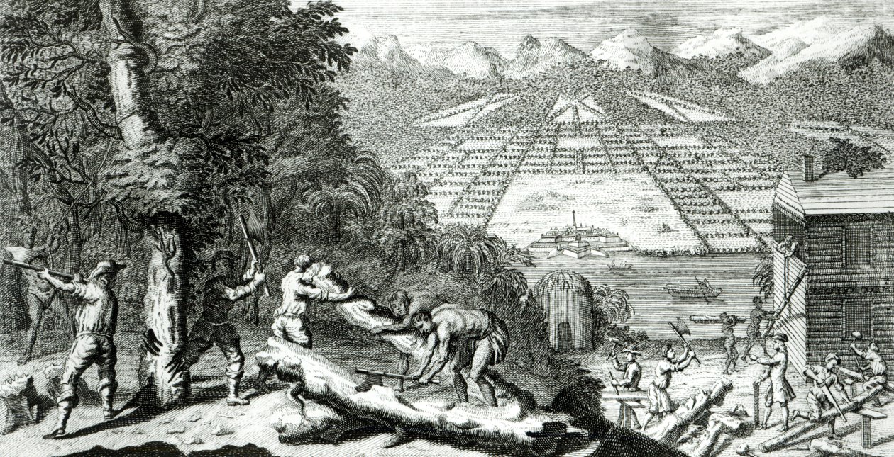 Illustrasjon fra "Reasons for etablering av kolonien Georgia" av Benjamin Martyn (1699-1763), 1733 av John Pine